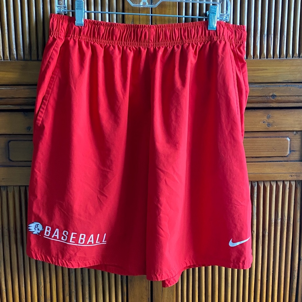 Nike Utah Tech Baseball Shorts